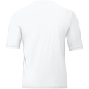 Image_4233_blanc_1