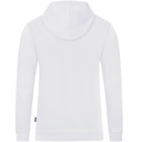Image_c6720_blanc_1