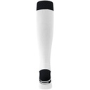 Image_3870_blanc_1
